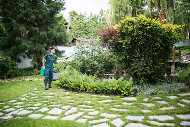 Best Artificial Turf Installation  in Oswego, NY